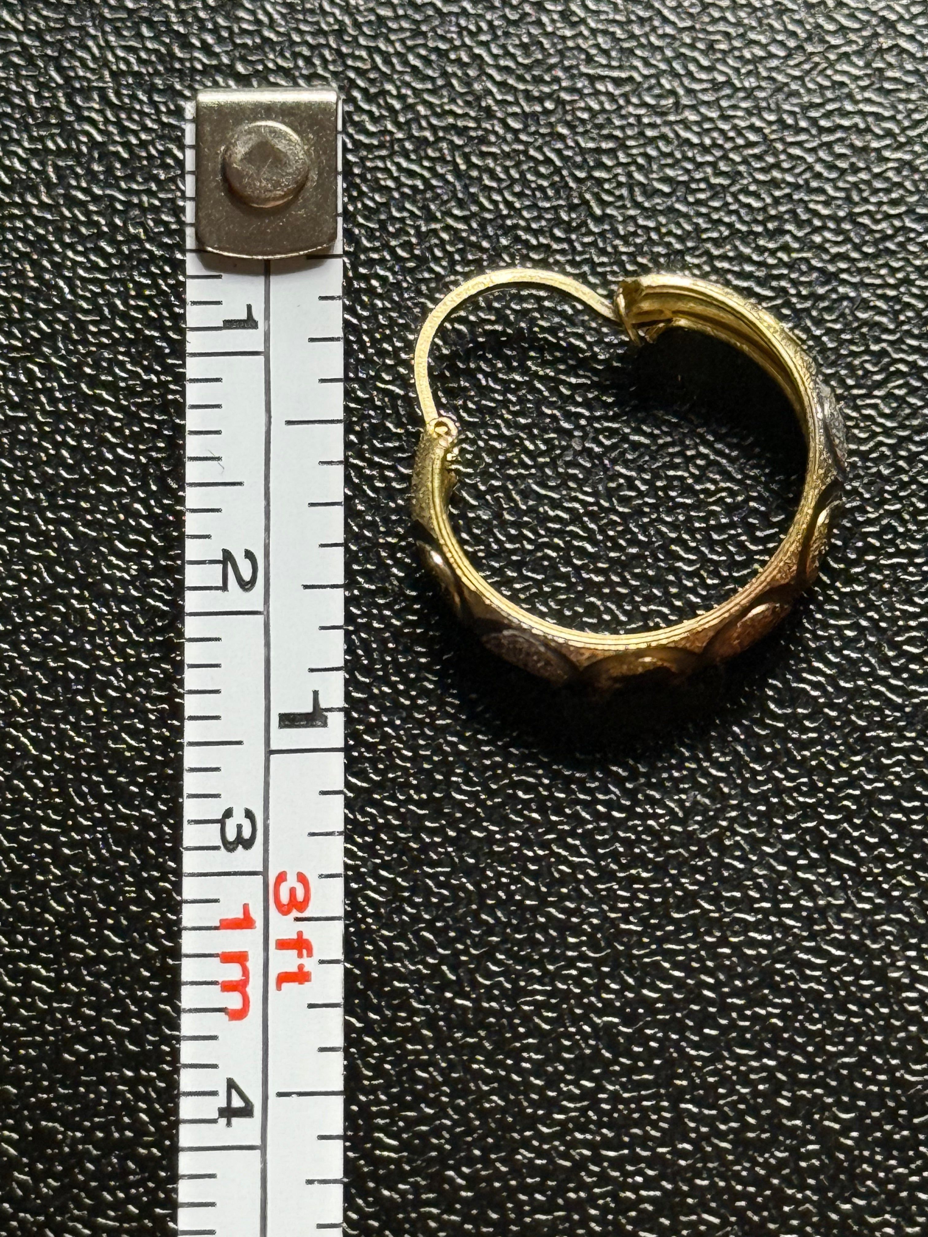 Woman’s 14k hoop earrings three colored